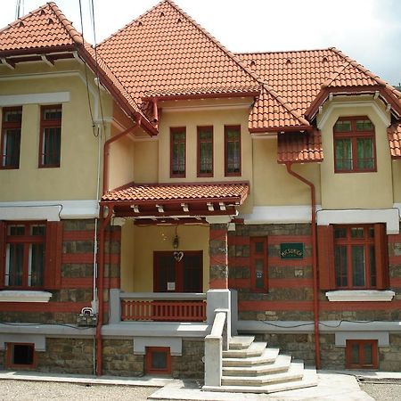 Pensiunea Micsunica Sinaia Luaran gambar