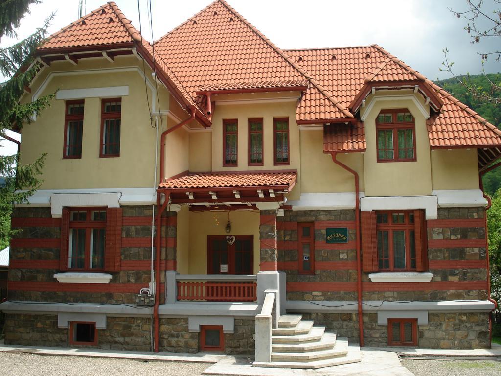 Pensiunea Micsunica Sinaia Luaran gambar